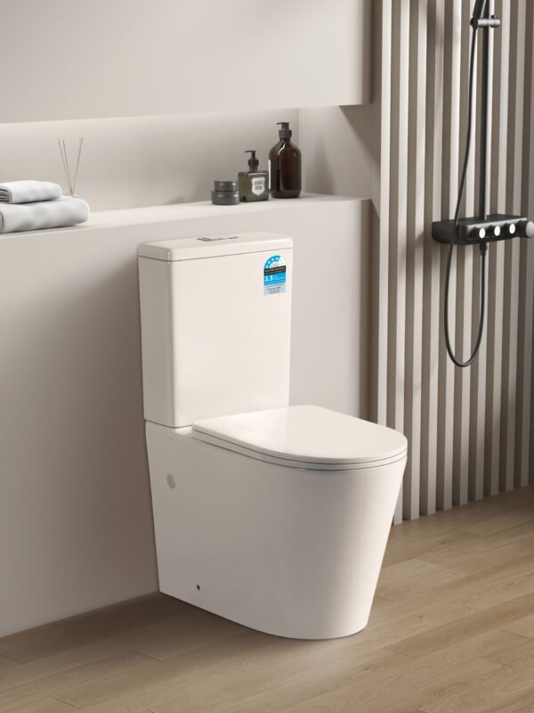 Avis Rimless Flush Pan
