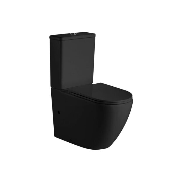 Hani Back-To-Wall Toilet Suite - Image 5