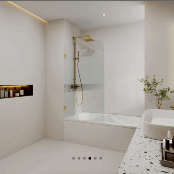 Fixed Bathtub Screen - Image 4