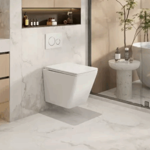 Enox66 Wall Hung Pan