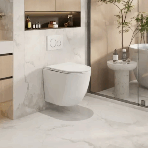 Raul66 Wall Hung Pan