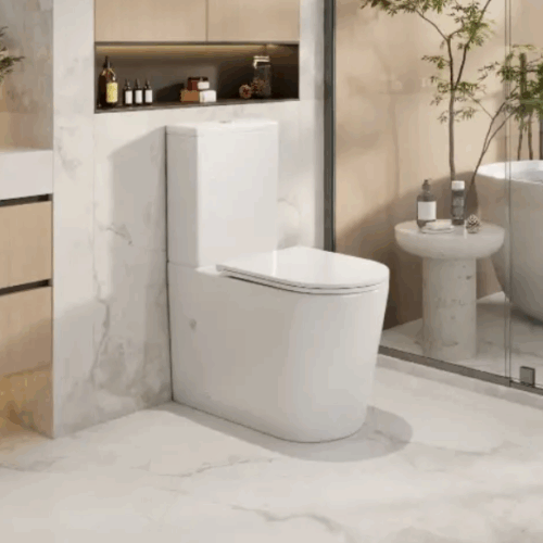 Vera Back To Wall Toilet Suite
